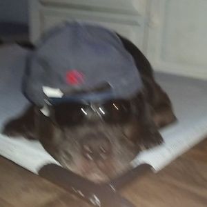 Meet your Posher, Peyton